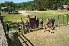 IMG_20220603_100832