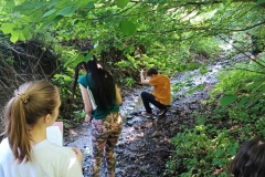 IMG_20220610_110501
