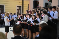 347608597_210296581873563_6763863373122745782_n