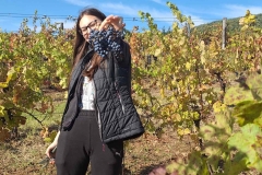 20240920_093915_resized