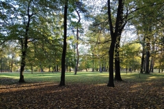 Kert