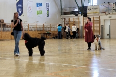 649880409_1337342928418314_8915574360835698592_n