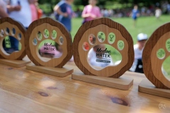 507082909_1165411528960947_9179356078211034229_n