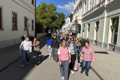 IMG_2608