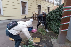 IMG_20240222_100652