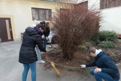IMG_20240222_102218