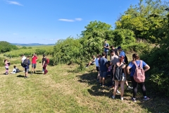 IMG_20260617_094300