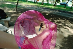 IMG_20260609_113954