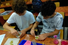 IMAG0618