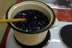 IMAG0619