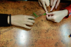 IMAG0044