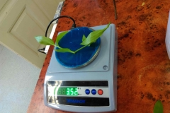 IMAG0045