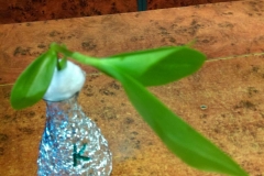IMAG0055