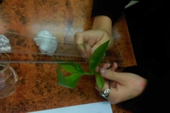 IMAG0103