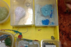 IMAG0258