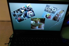 IMAG0568