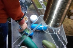 IMAG0809