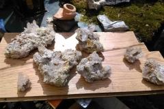 IMAG0861
