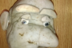 IMAG1021