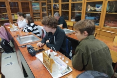 IMG_20221018_150603