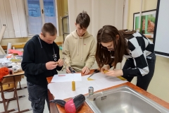 412237562_742779931207953_2034988115123118216_n