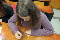 IMG_20240116_153106