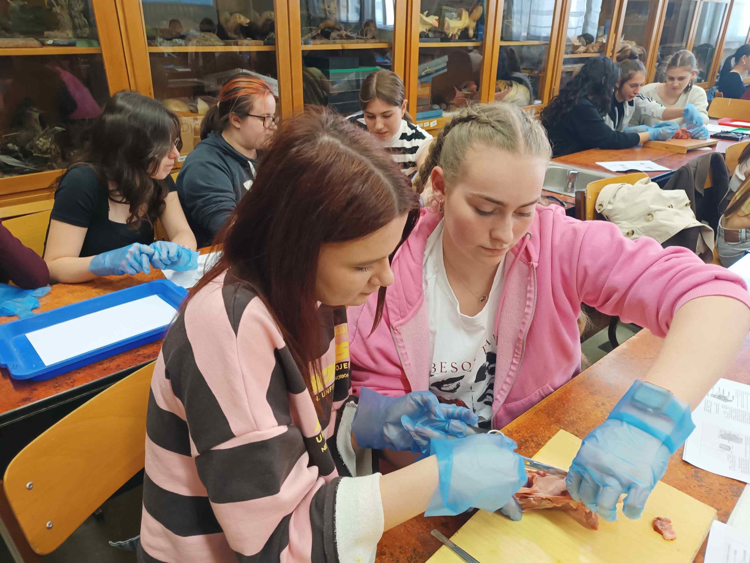 Gégeboncolás a Nemzeti Tudósképző Akadémia foglalkozásán