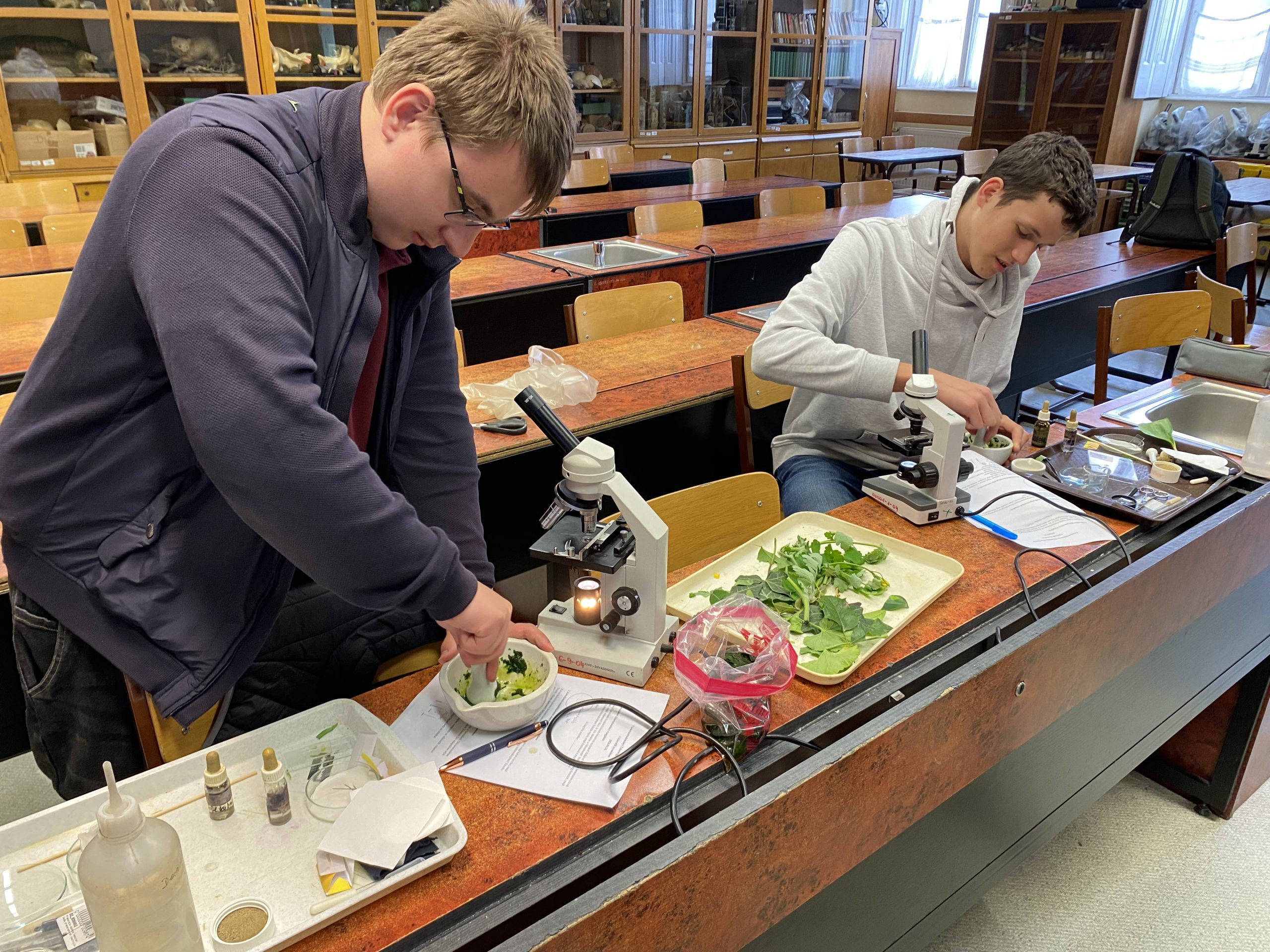 A klorofill nyomában a TT műhely foglalkozásán